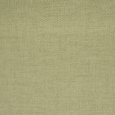 S2751 Celery Fabric: