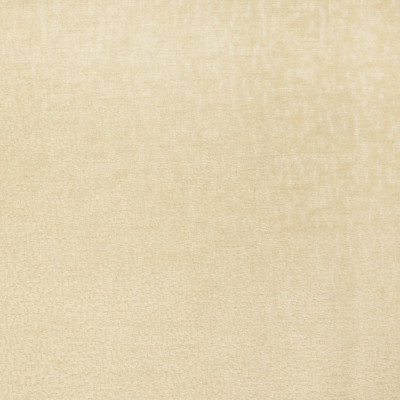 S2805 Custard Fabric: