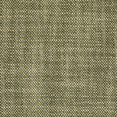S2871 Basil Fabric: S38, ANNA ELISABETH, NFPA260, NFPA 260, SOLID, GREEN, WOVEN, BASIL, GREEN WOVEN, GREEN SOLID, SOLID GREEN, BASKET WEAVE, BASKETWEAVE
