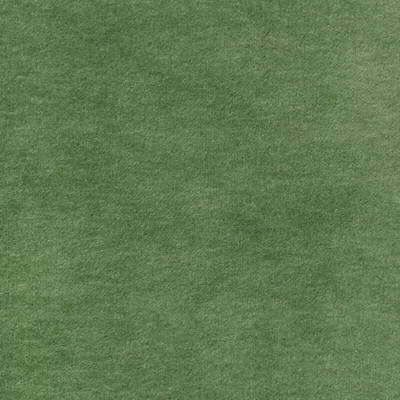 S2875 Fern Fabric: