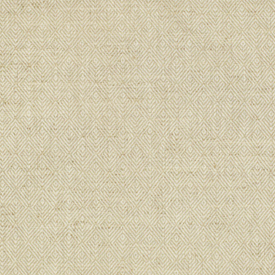 S2895 Flax Fabric: