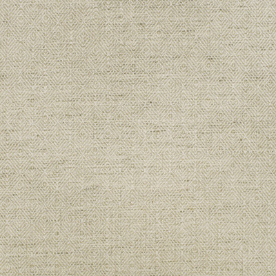 S2907 Birch Fabric: