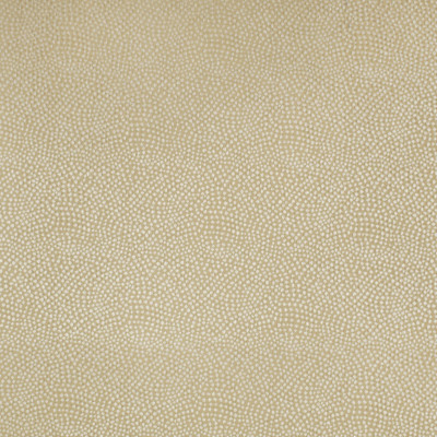 S2910 Oatmeal Fabric: