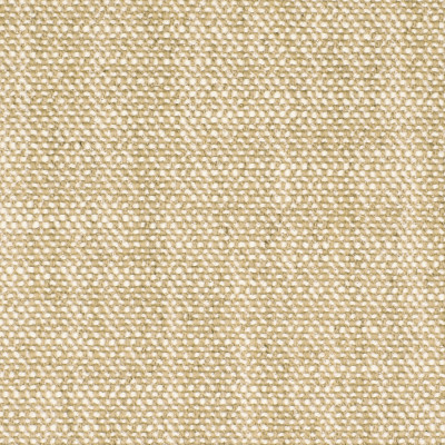 S2920 Sand Fabric: