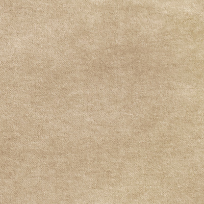 S2922 Beige Fabric: