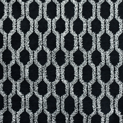 S2991 Onyx Fabric: