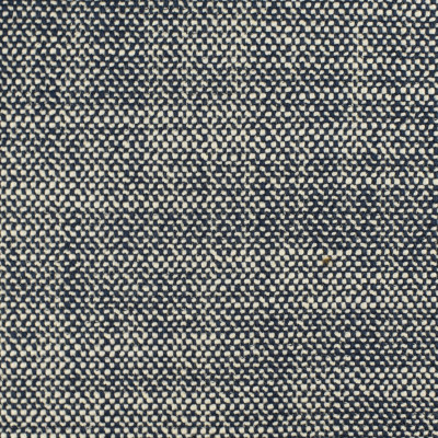 S3050 Navy Fabric: