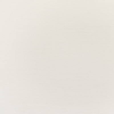 S3066 Off White Fabric: WHITE, PERFORMANCE, WHITE PERFORMANCE, SOLID WHITE, WINDOW, WHITE WINDOW, PERFORMANCE WINDOW