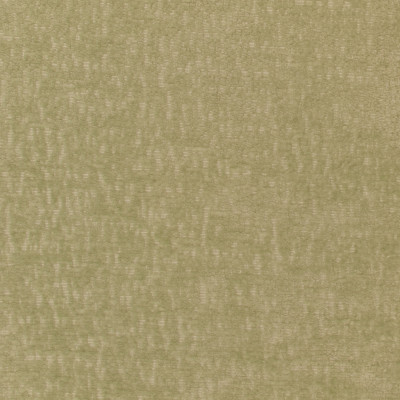 S3081 Moss Fabric: ANNA ELISABETH, CRYPTON, CRYPTON HOME, PERFORMANCE, EASY TO CLEAN, ANTIMICROBIAL, STAIN RESISTANT, NFPA260, NFPA 260, CELERY, GREEN, CHENILLE, GREEN CHENILLE