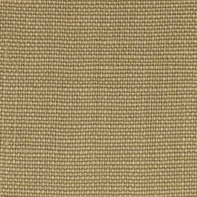 S3290 Mushroom Fabric: