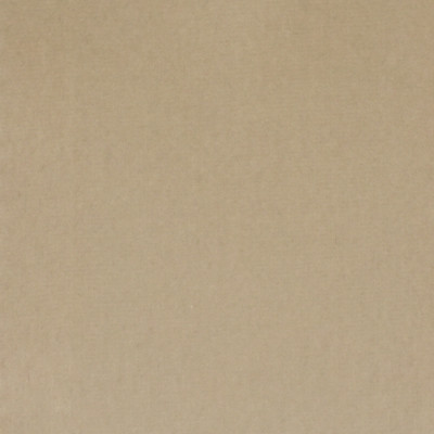 S3312 Pearl Grey Fabric: S44, ANNA ELISABETH, SOLID, VELVET, COTTON, 100% COTTON, COTTON VELVET, NEUTRAL