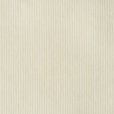 S3465 Sugar Fabric: S46, ANNA ELISABETH, CRYPTON, CRYPTON HOME, PERFORMANCE, EASY TO CLEAN, STRIPE, WHITE, TEXTURE, CORDUROY, CORD