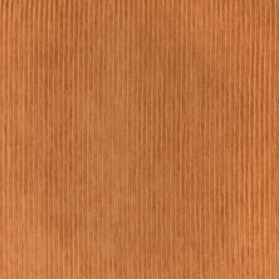 S3554 Papaya Fabric: