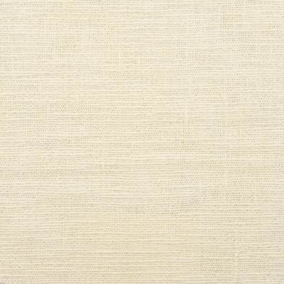 S3882 Canvas Fabric: