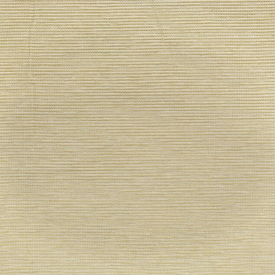S3898 Sand Fabric: