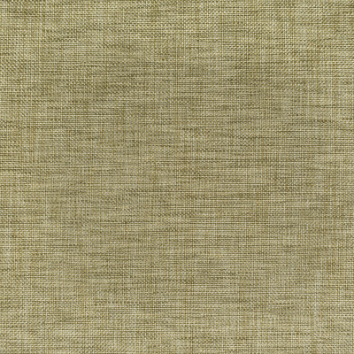 S3922 Sand Fabric: