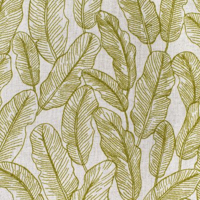 S3956 Fern Fabric: