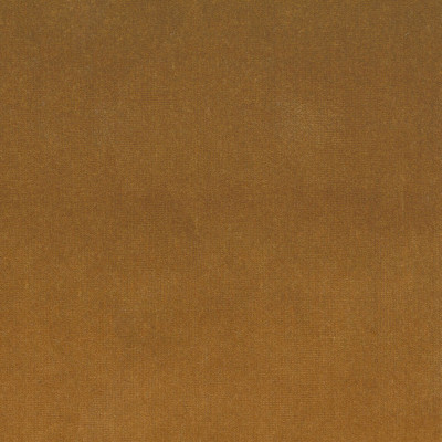S4157 Ambergold Fabric: