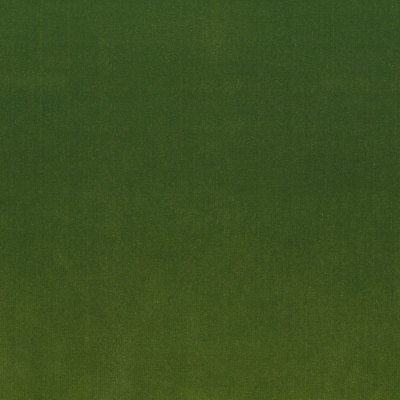 S4160 Lime Fabric: