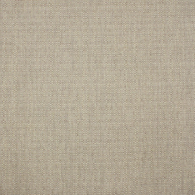 S4202 Nutshell Fabric:
