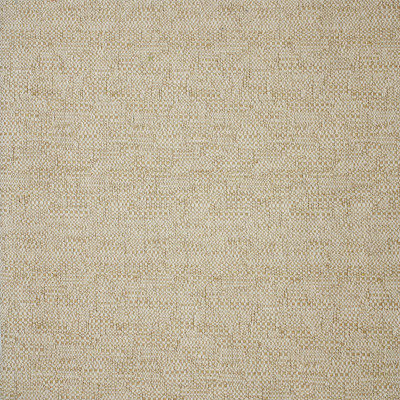 S4207 Oatmeal Fabric: