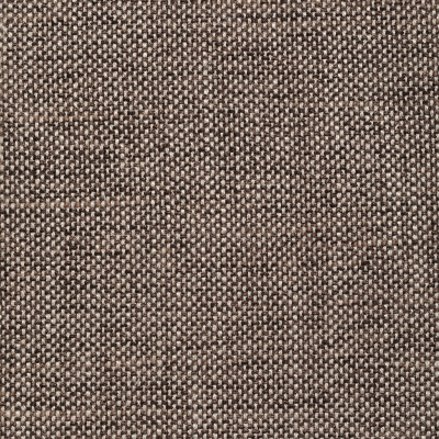 S4257 Earth Fabric: