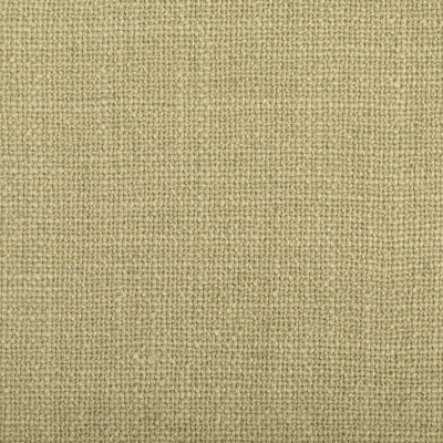 S4264 Sprig Fabric: