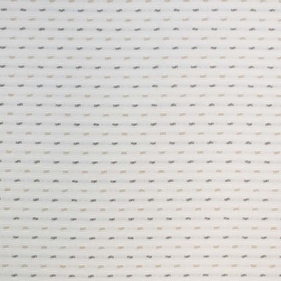 S4406 Latte Fabric: