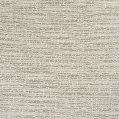 S4421 Twine Fabric: