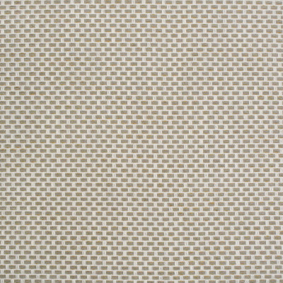 S4439 Birch Fabric: