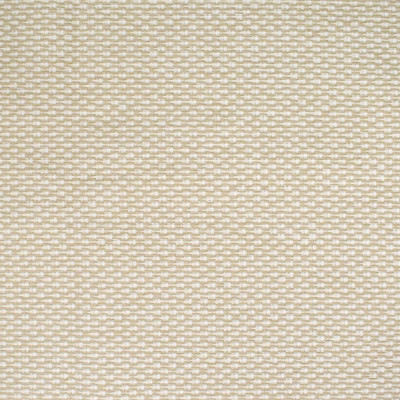 S4446 Sisal Fabric: