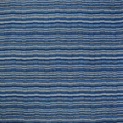 S4507 Indigo Fabric: