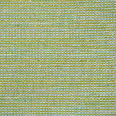 S4546 Capri Fabric: