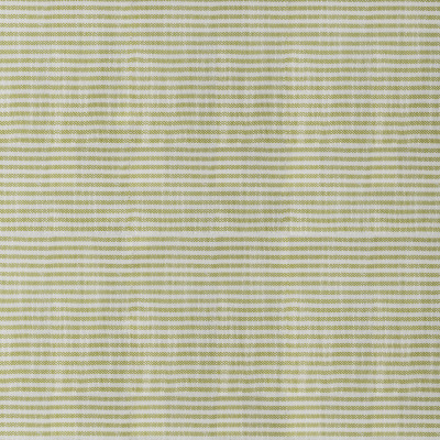 S4549 Key Lime Fabric: