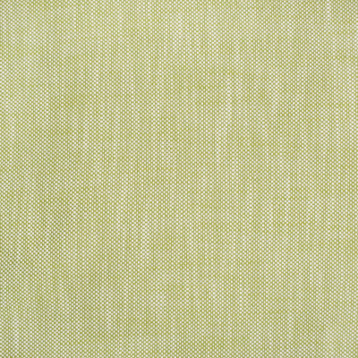 S4551 Palm Fabric: