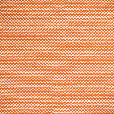 S4572 Coral Fabric: