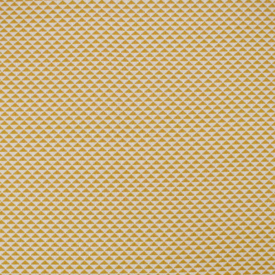 S4585 Honey Fabric:
