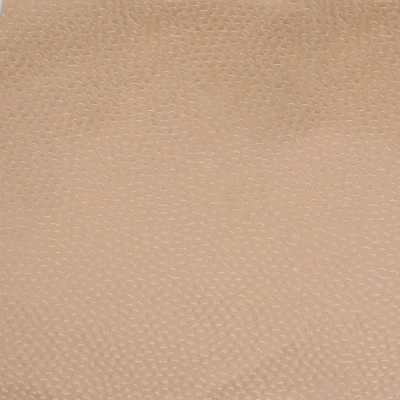 S4674 Champagne Fabric: