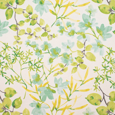 S4858 Citrus Fabric: