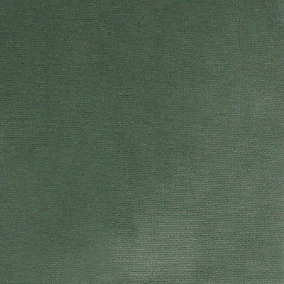 S4862 Aloe Fabric: