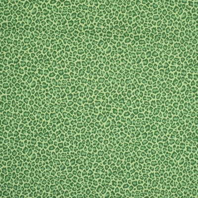 S4879 Jade Fabric: 