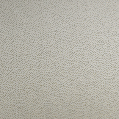 S4960 Ecru Fabric: