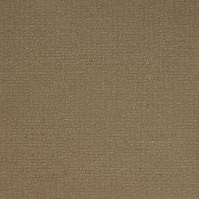 S4974 Sand Fabric: