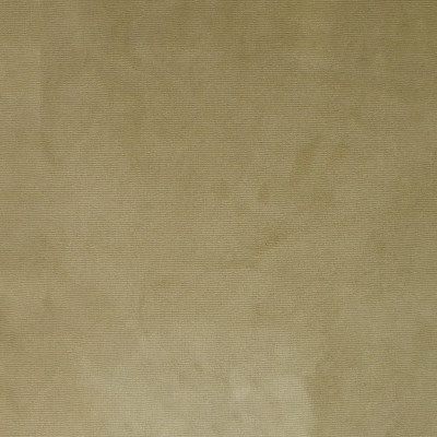 S4983 Champagne Fabric: