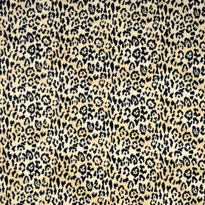 S5001 Coin Fabric: