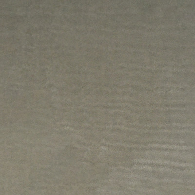 S5014 Vapor Fabric: