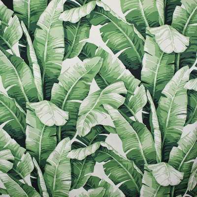 S5082 Green Fabric: