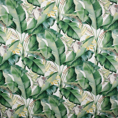 S5085 Aloe Fabric: