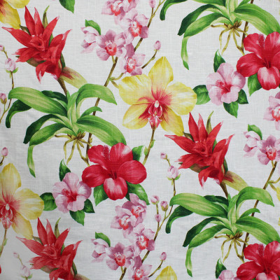 S5126 Fruit Punch Fabric: