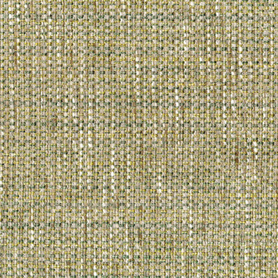 S5398 Grass Fabric: